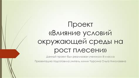 Влияние окружающей среды на рост фиалки