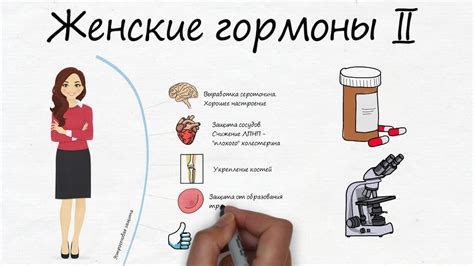 Ключевые принципы распознавания женских гормонов у мужчин