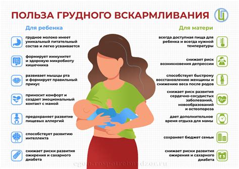 Польза грудного вскармливания для устранения стресса у ребенка