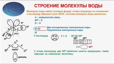 Свойства молекулы