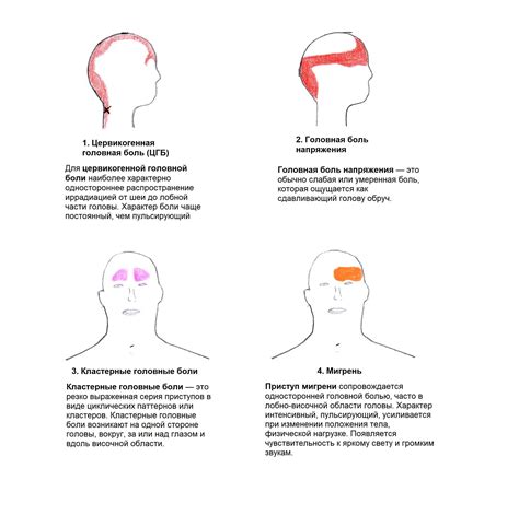 Симптомы, связанные с головной и поясничной областями